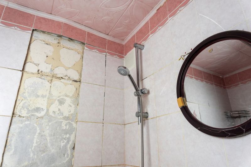 Top Shower Remodeling Companies in Rosemount, MN